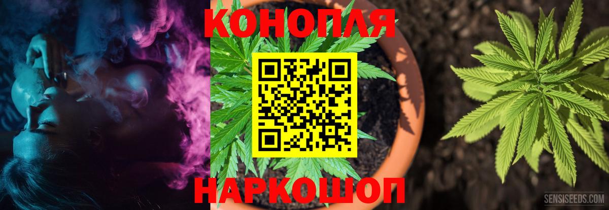 Шишки марихуана гибрид Кизилюрт